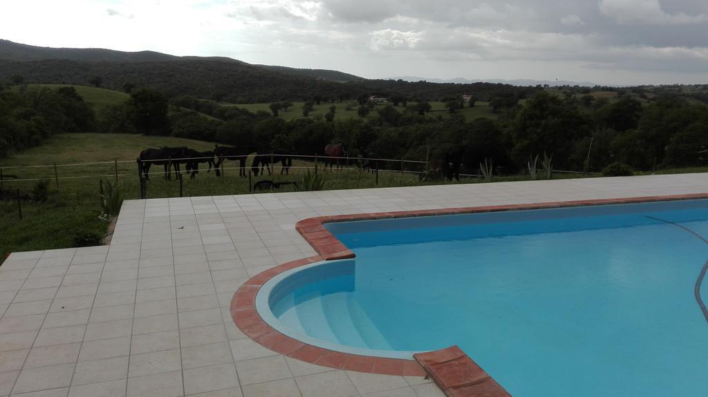 Agriturismo Collelungo Di Maremma Diaccialone Exterior foto