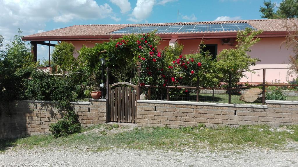 Agriturismo Collelungo Di Maremma Diaccialone Exterior foto