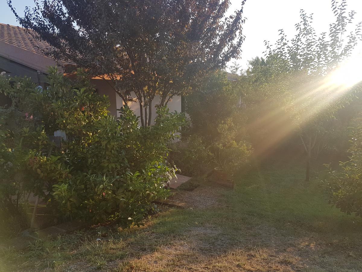 Agriturismo Collelungo Di Maremma Diaccialone Exterior foto